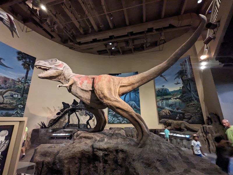 See A Real Apollo Spacecraft And A 10K Planetarium For Free At This Hidden Atlanta Georgia Gem - Decor Hint Fossil Preparation Laboratory