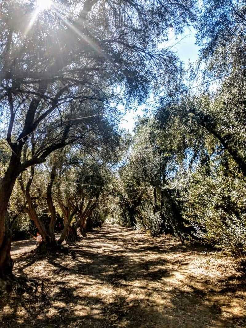 Historic Property Dating Back To 1884