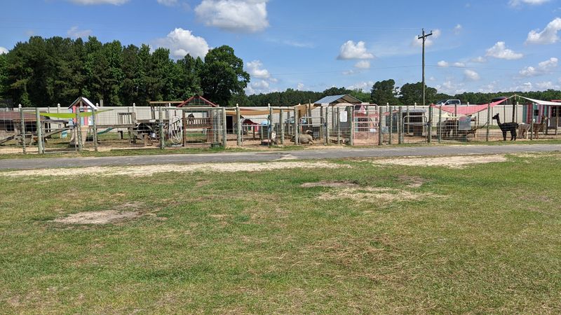 This North Carolina Sanctuary Turns Into A Summer Safari Adventure - Decor Hint Convenient Location Just An Hour From Major North Carolina Cities