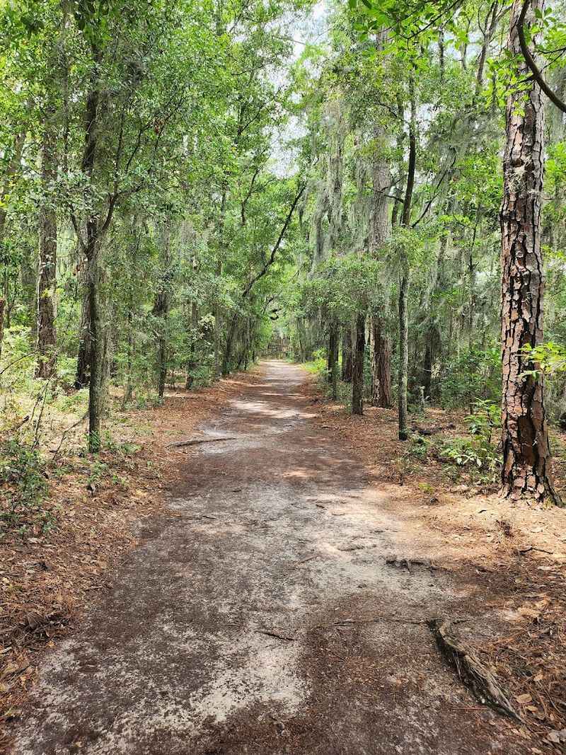 This Savannah Georgia Destination Features A Historic Building Used In Hollywood Movies And Has A Wolf Wilderness Exhibit - Decor Hint Volunteer Opportunities For Nature Enthusiasts