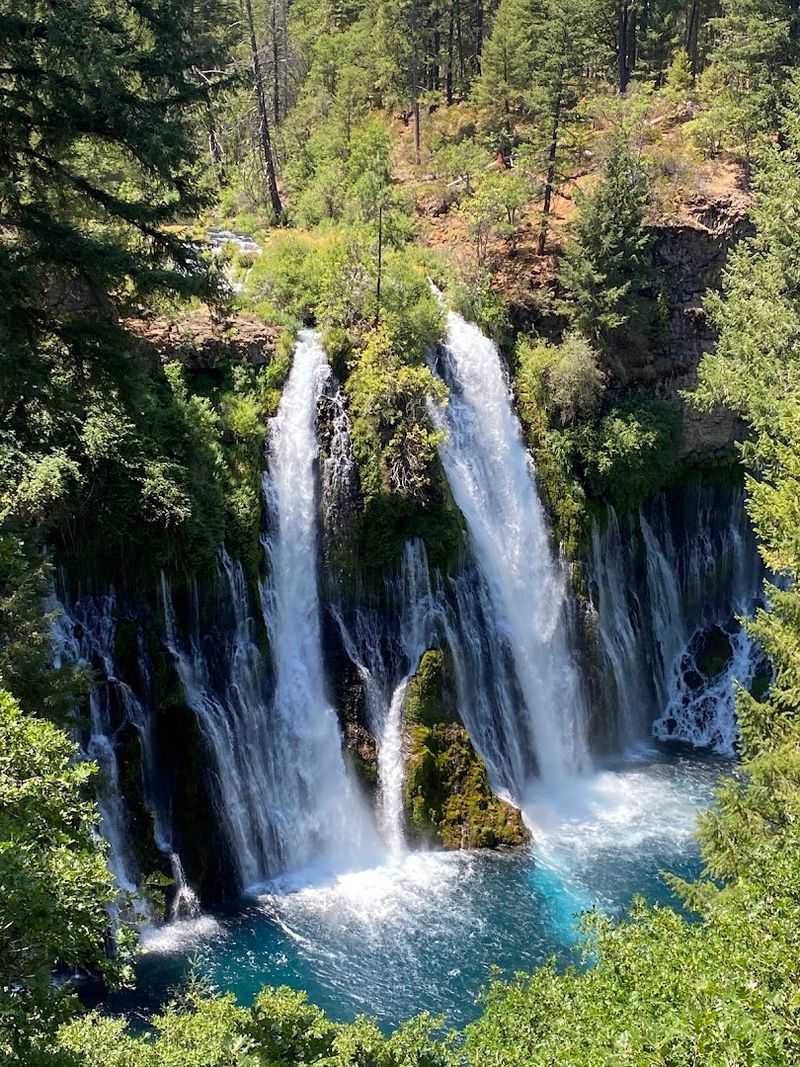 Underground Springs Feed Consistent Flow