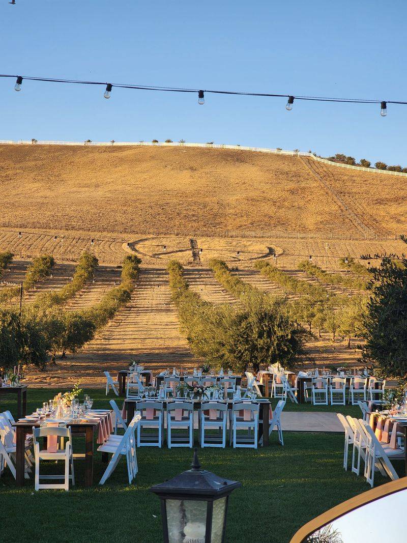 Secluded Location Surrounded By Vineyards