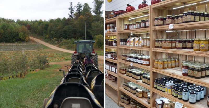 Spend The Day Picking North Carolina Apples At This Charming Orchard In Moravian Falls
