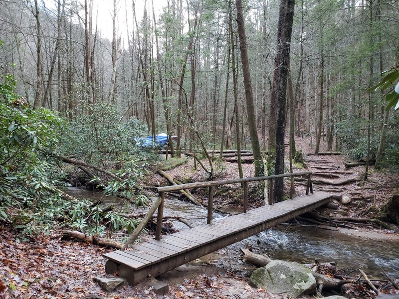 An Observation Bridge Puts You Right at the Falls