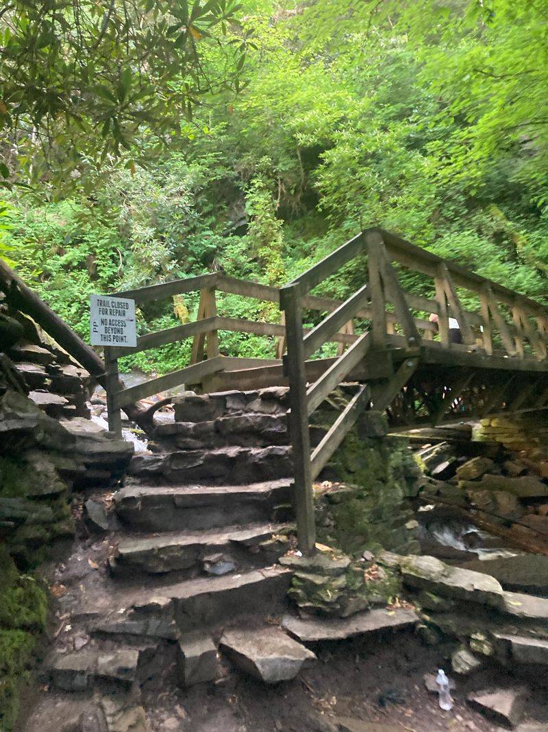 This North Carolina Stairway Trail Turns Into A Spring Wonderland - Decor Hint The Wooden Bridge Viewing Platform