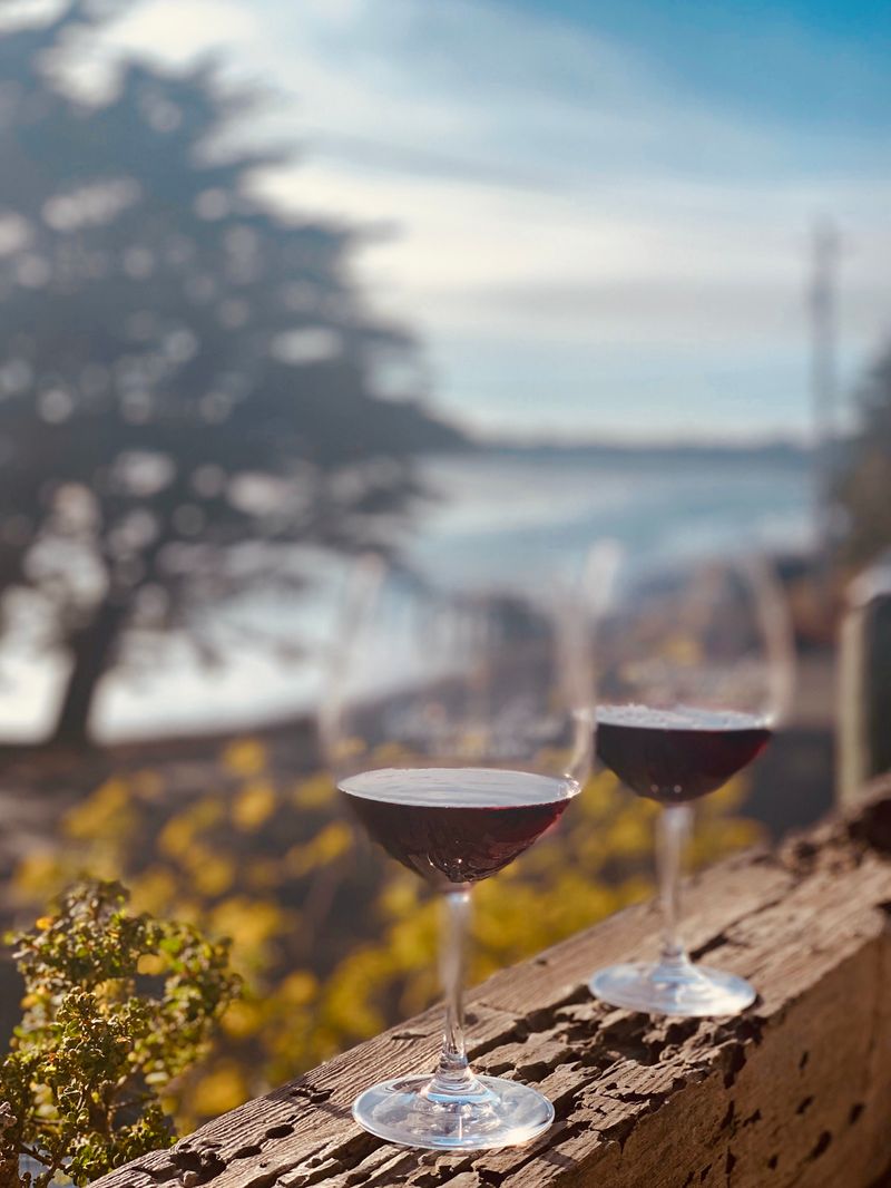 Sonoma County Vineyards Surround The Coastal Village