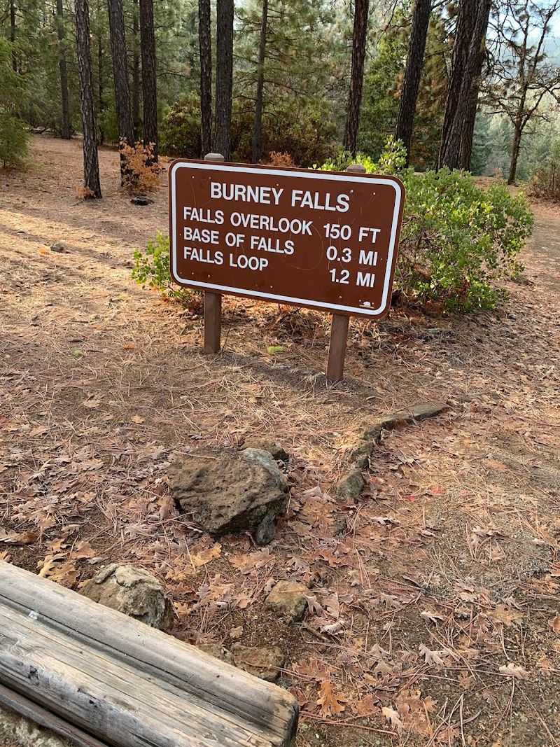 Visitor Amenities Enhance The Experience