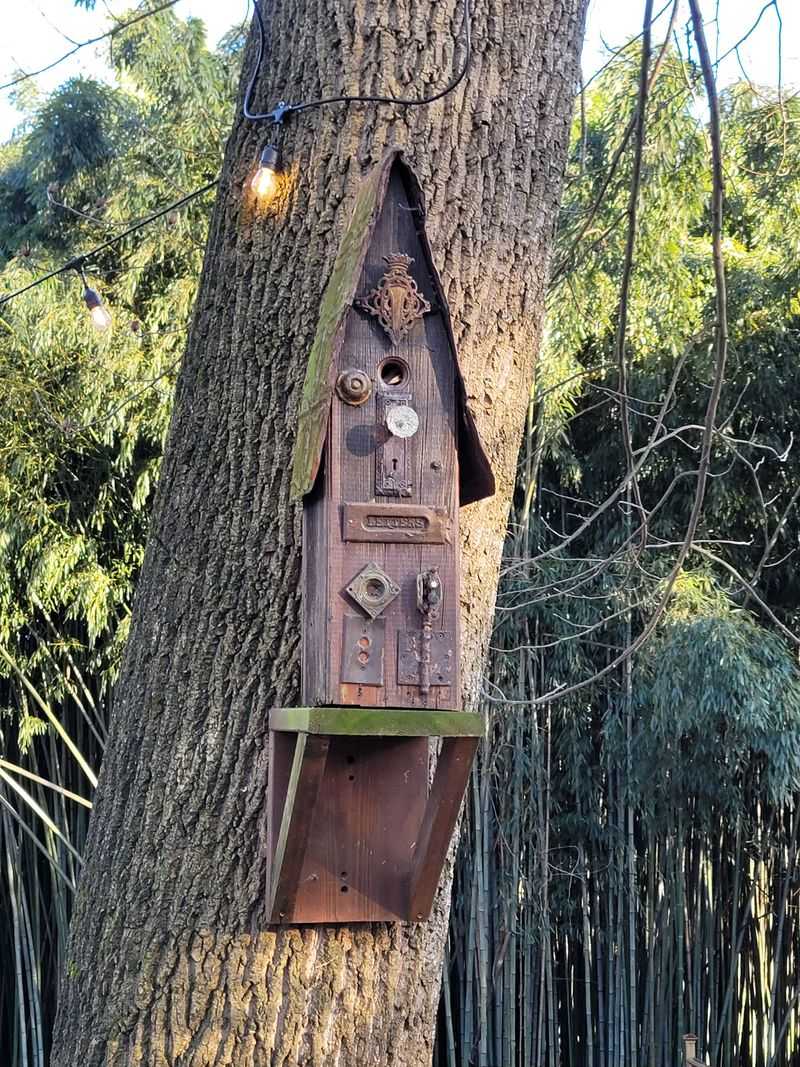 Seasonal Bamboo Forest Changes