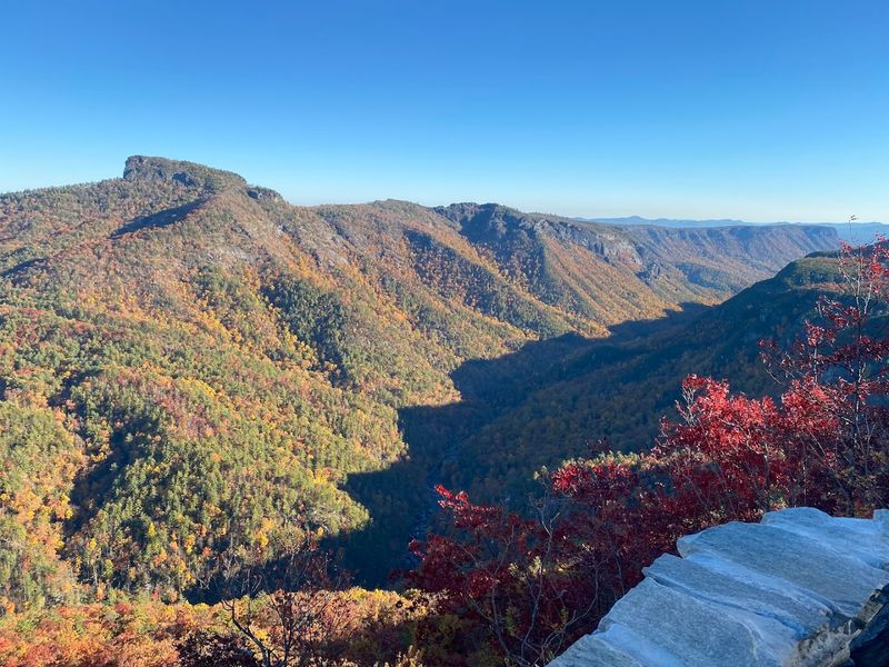 A North Carolina Overlook That Feels Like The Top Of The World - Decor Hint Seasonal Foliage Changes