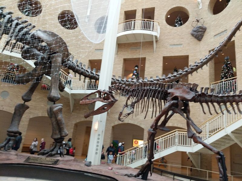 Step Into The Land Of Giants At This Incredible Atlanta Georgia Museum That Houses The World's Largest Dinosaurs - Decor Hint Giants of the Mesozoic