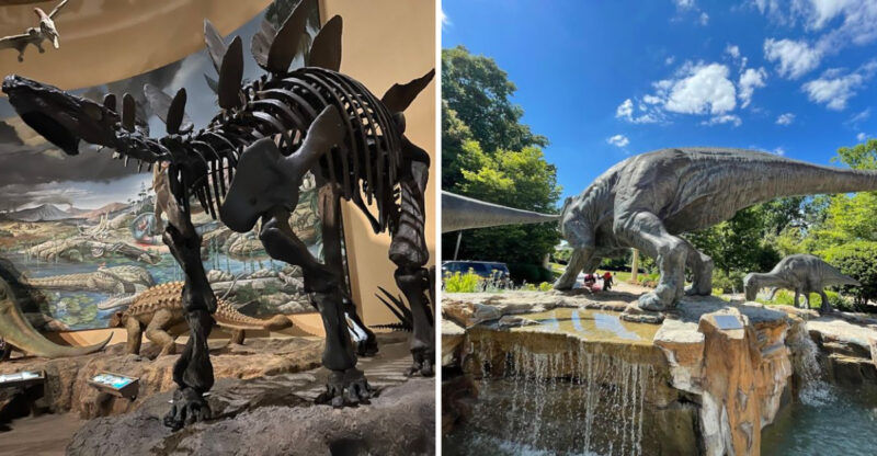 Step Into The Land Of Giants At This Incredible Atlanta Georgia Museum That Houses The World’s Largest Dinosaurs