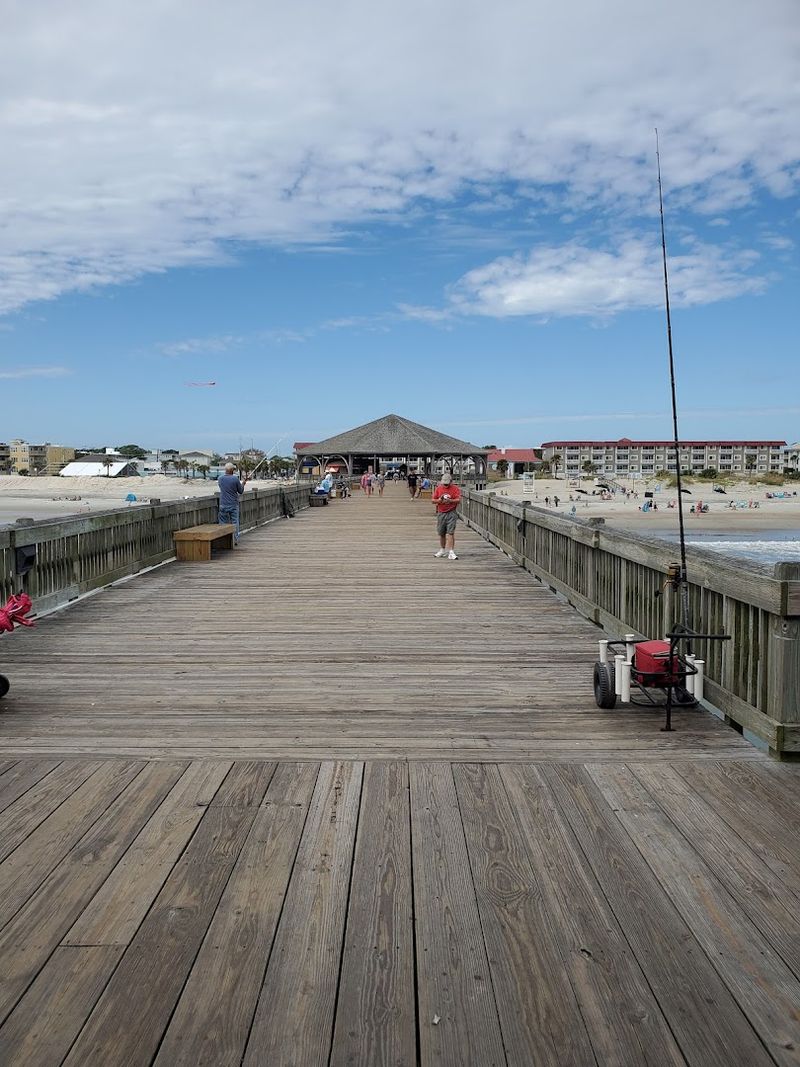 Volunteer And Citizen Science Programs