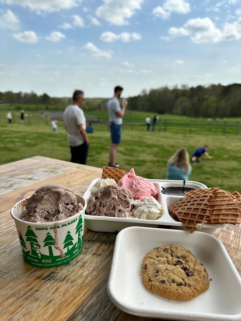 Farm-Fresh Milk From Campus Cows
