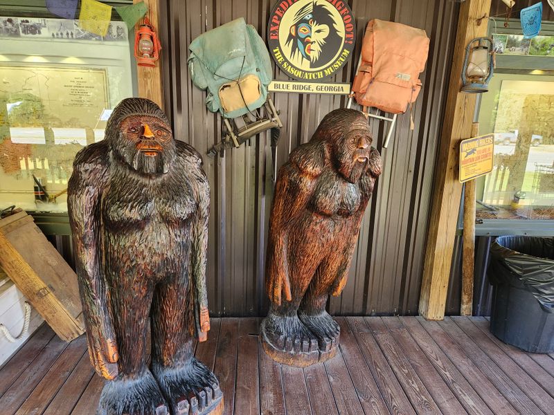 See Famous Patterson-Gimlin Film Analysis