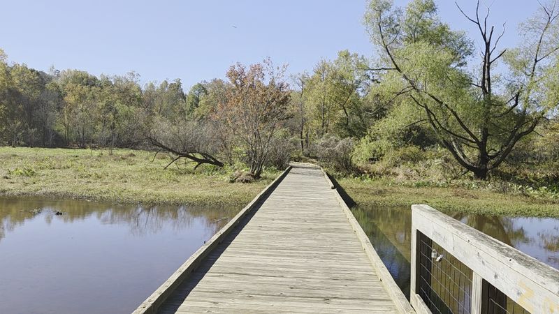 The Doll Head Bridge Crossing