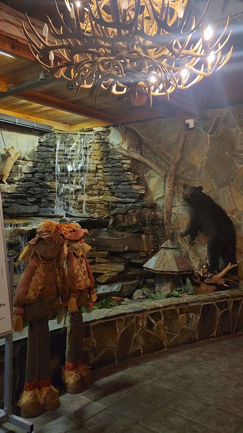 Rustic Mountain Ambiance Throughout