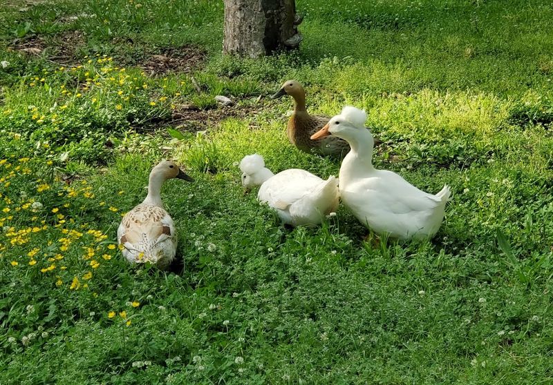 A Peaceful Retreat from Everyday Life