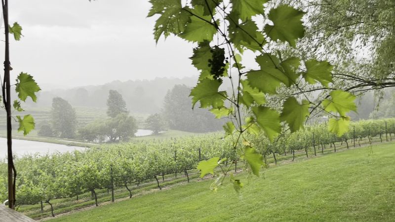 This Georgia Vineyard Turns A Simple Glass Of Wine Into A Moment - Decor Hint The Peaceful Escape From Daily Stress