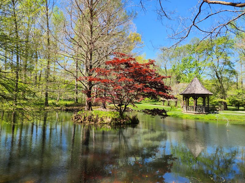 Creating Lasting Spring Memories