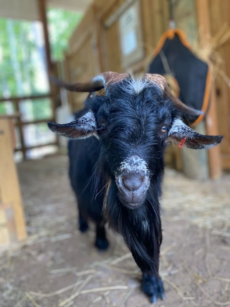 Unique Photo Opportunities