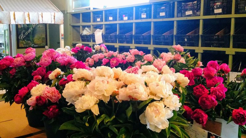 Educational Resources And Planting Guides