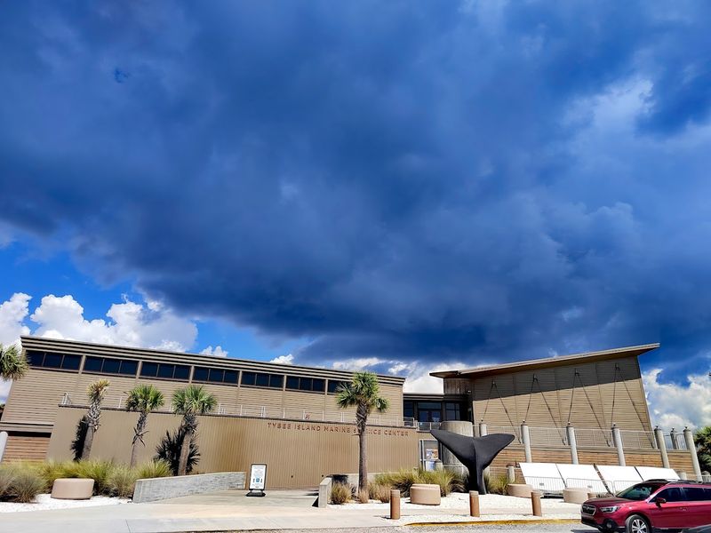 Hands-On Science Activities