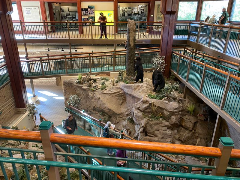 Visitor Center and Museum