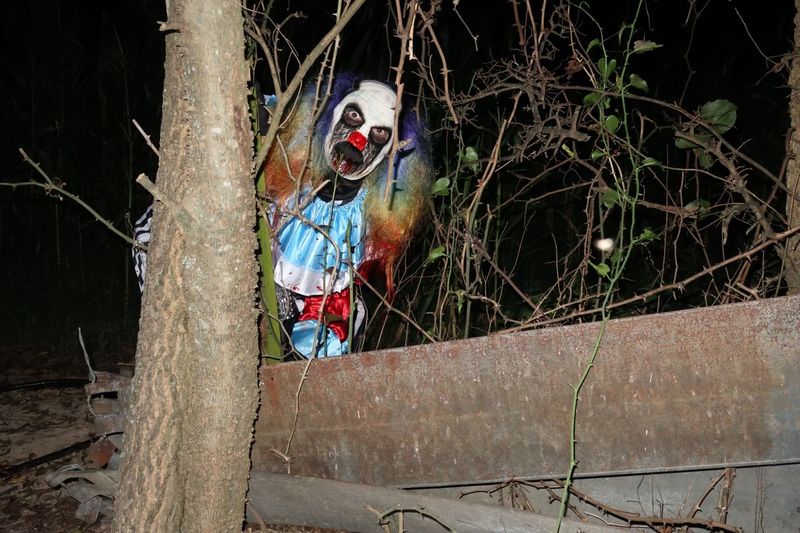 The Witch's Woods Trail