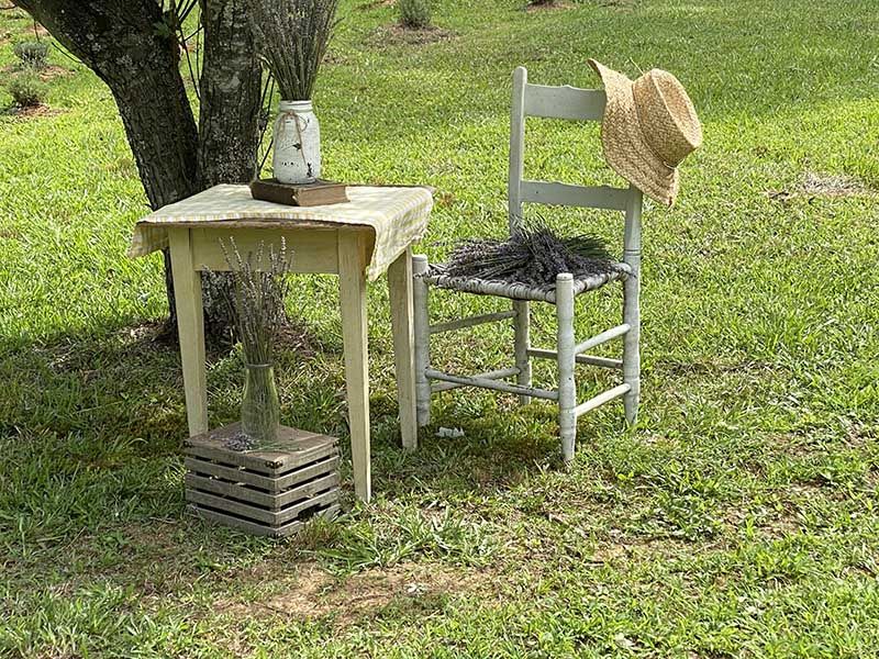 Location And Accessibility In Whitsett