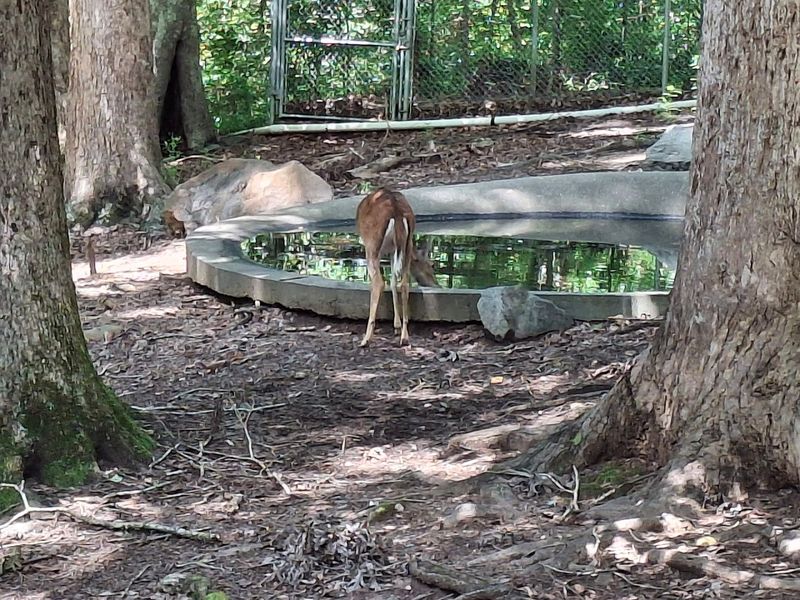 A Family-Friendly Environment With Room To Play