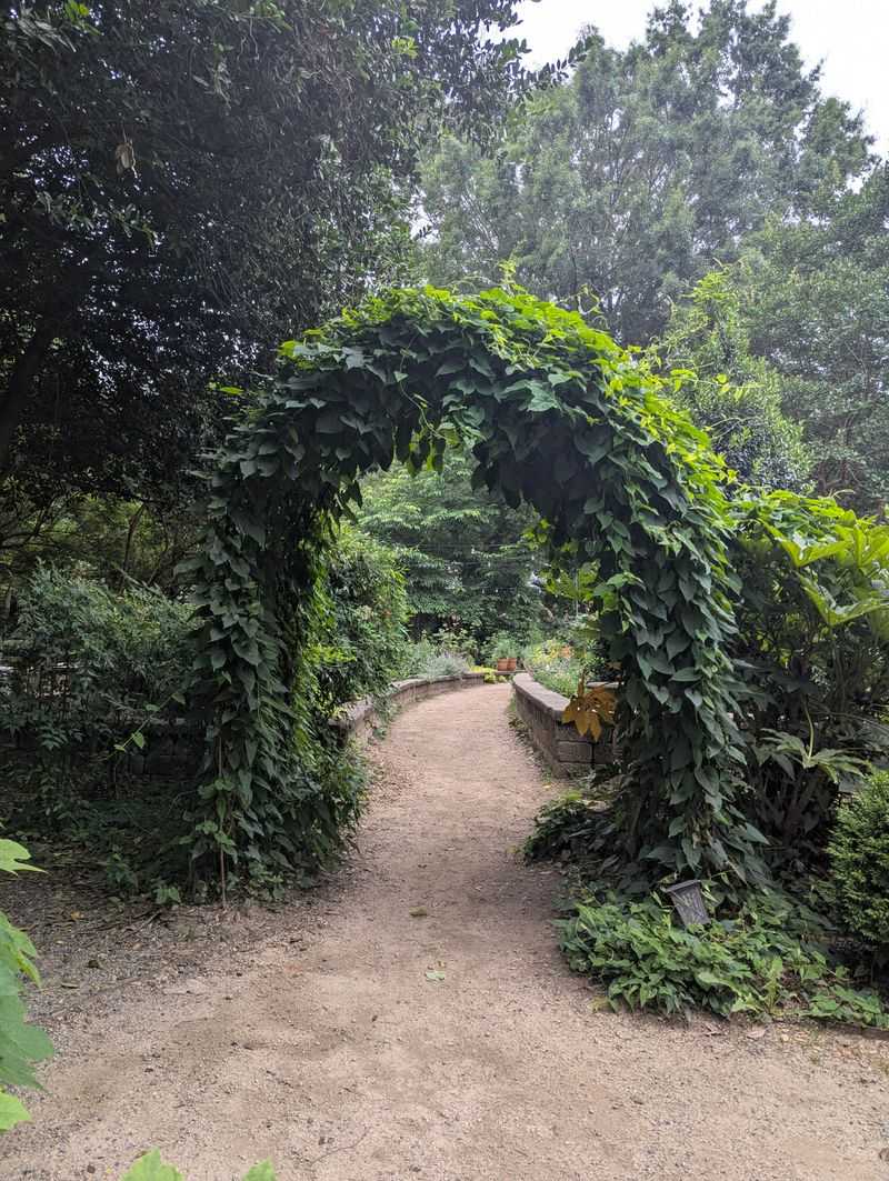 Where Paths Lead To Unexpected Moments