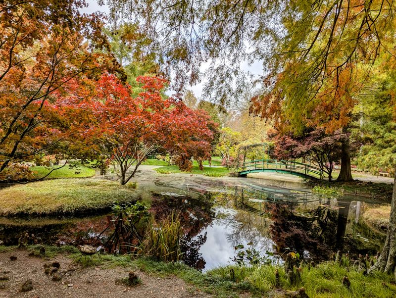 Japanese Gardens Offer Serene Beauty