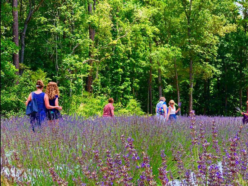 Sixty Acres Provide Endless Photography Opportunities