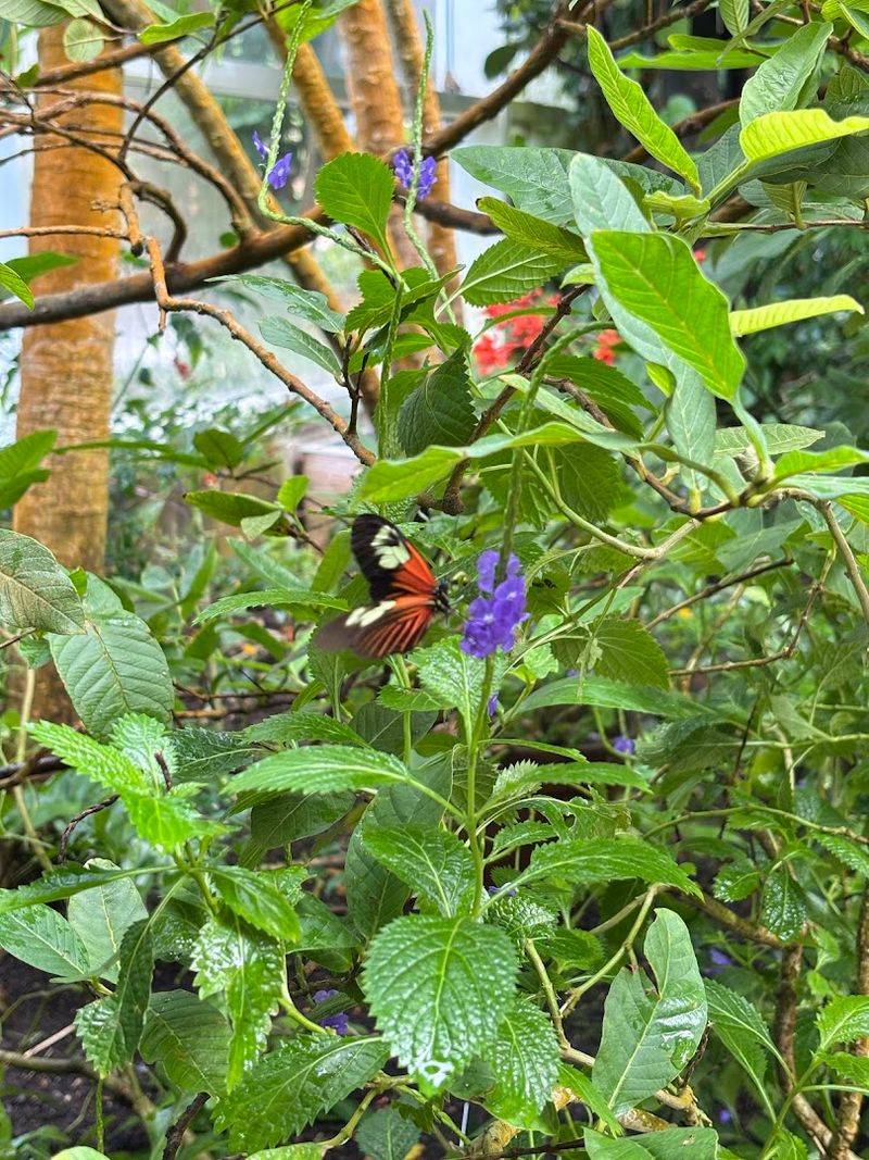 Climate-Controlled Environment Maintains Tropical Conditions Year-Round