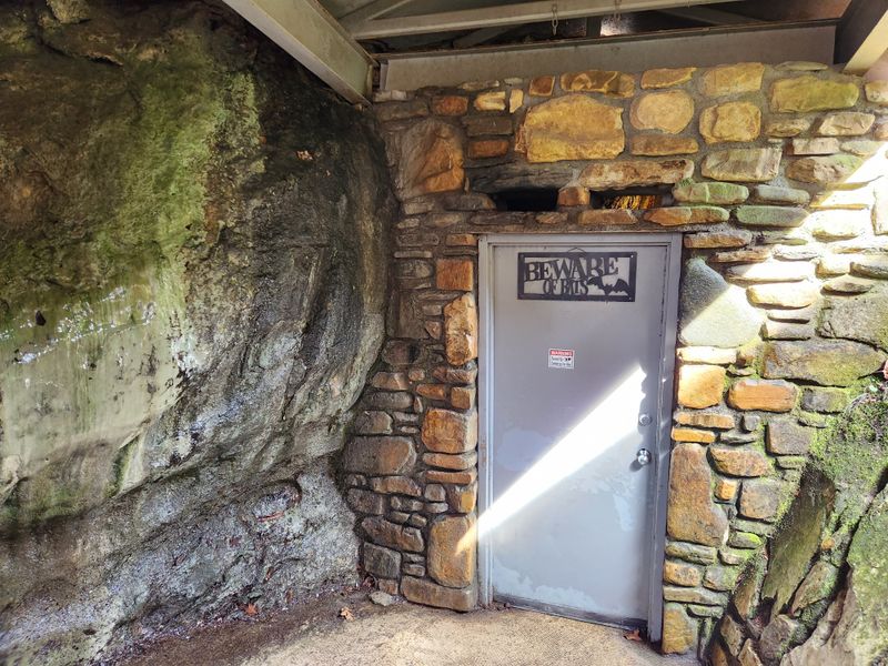 Generations Return To Share The Underground Magic