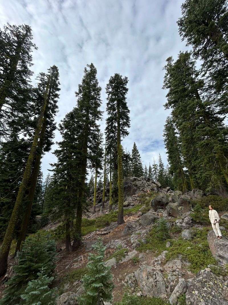 Reports Of Sealed Entrances And Hidden Doorways