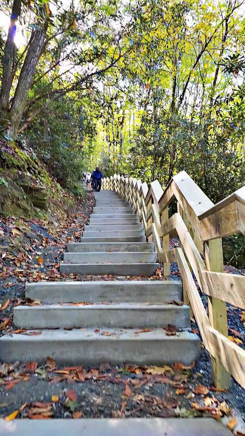 This North Carolina Stairway Trail Turns Into A Spring Wonderland - Decor Hint The Stairway Challenge Everyone Talks About