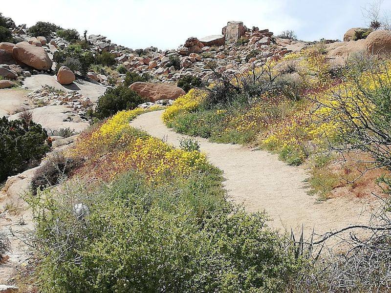 Minimal Shade Requires Sun Protection