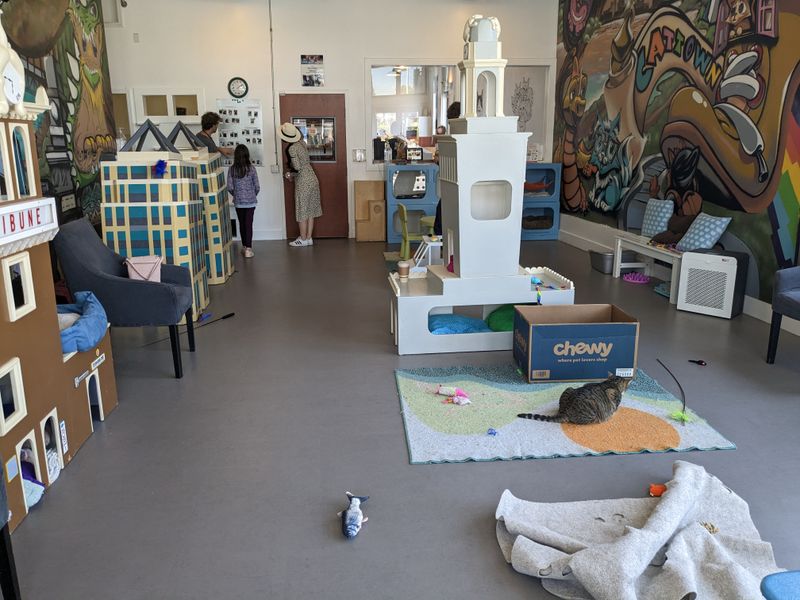 Reservation Systems Keep The Experience Calm For Cats