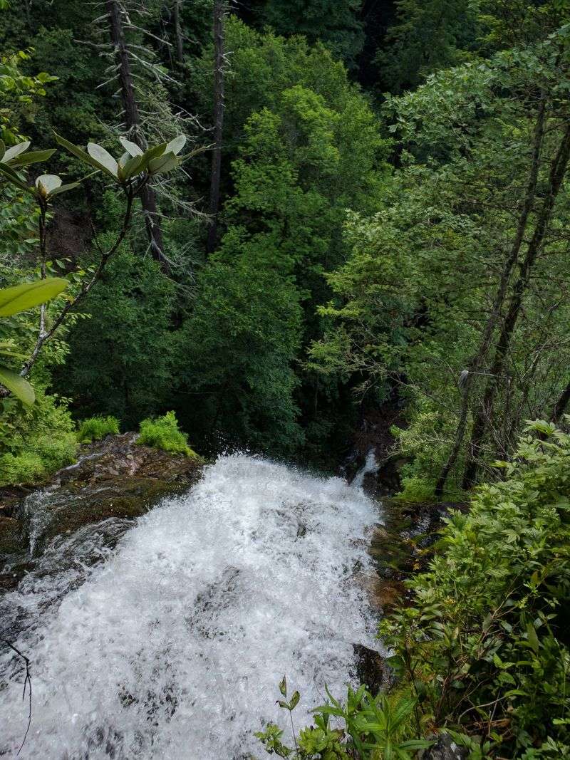 This North Carolina Stairway Trail Turns Into A Spring Wonderland - Decor Hint Spring's Explosive Water Show