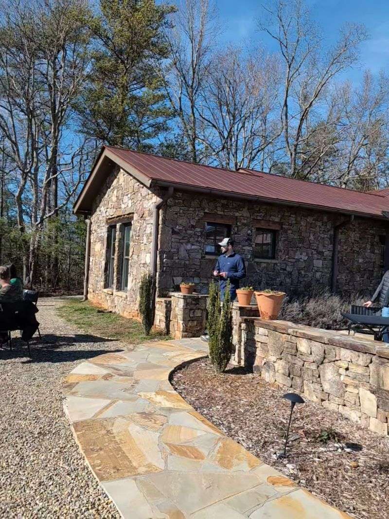 This Georgia Vineyard Turns A Simple Glass Of Wine Into A Moment - Decor Hint Dog-Friendly Policies For Pet Parents