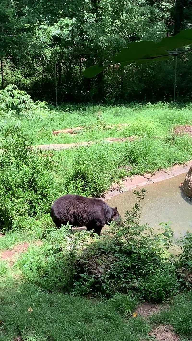 Wildlife-Based Educational Programs