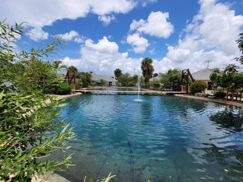 Bridges, Waterfalls, And Quiet Corners