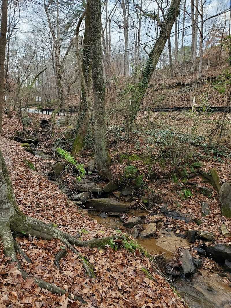 Seasonal Visits and What Each Season Offers