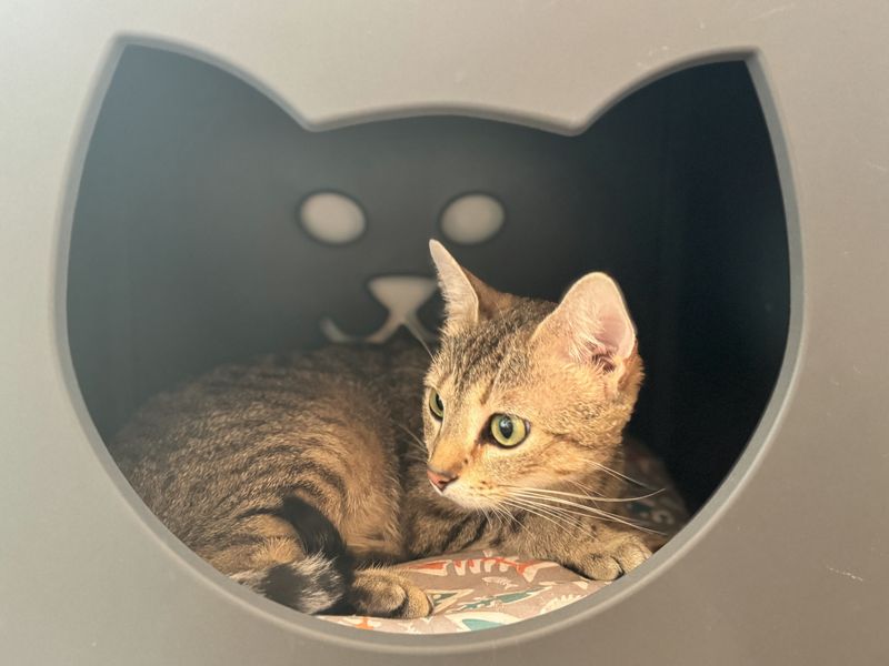 Why This Place Matters Beyond Coffee