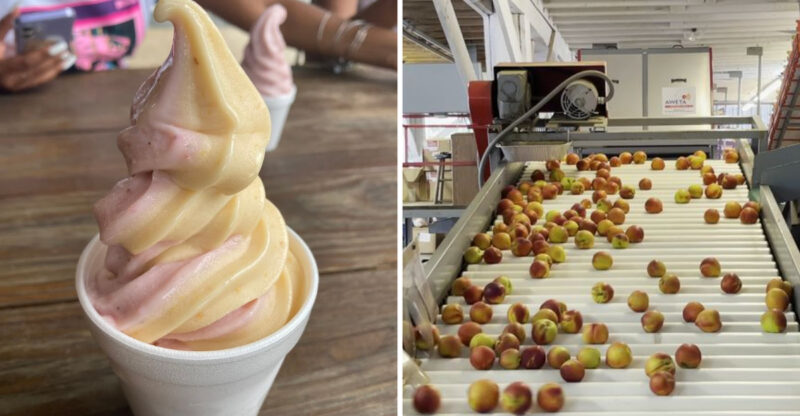 The Search for Georgia’s Best Peach Ice Cream Might Just End At This Roadside Shed
