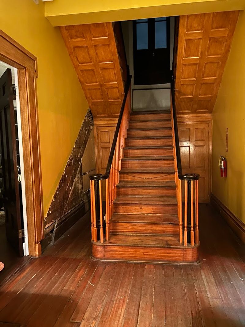 Night Tours Offer the Most Intense Experiences