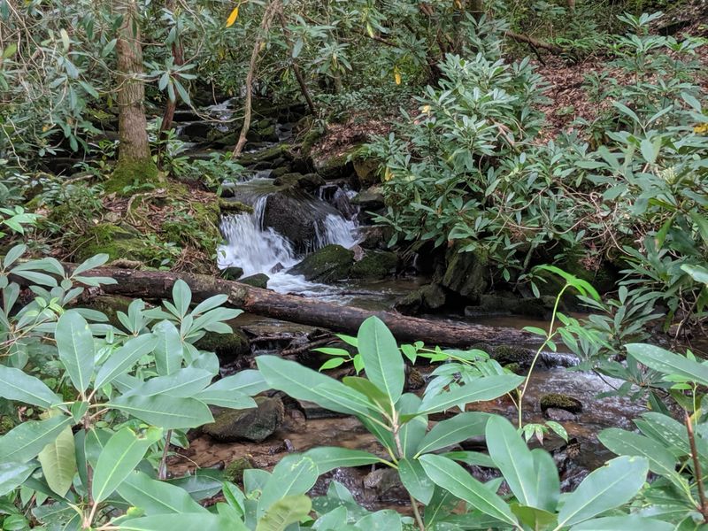 This North Carolina Stairway Trail Turns Into A Spring Wonderland - Decor Hint Big Cove Road: Your Gateway To Wonder