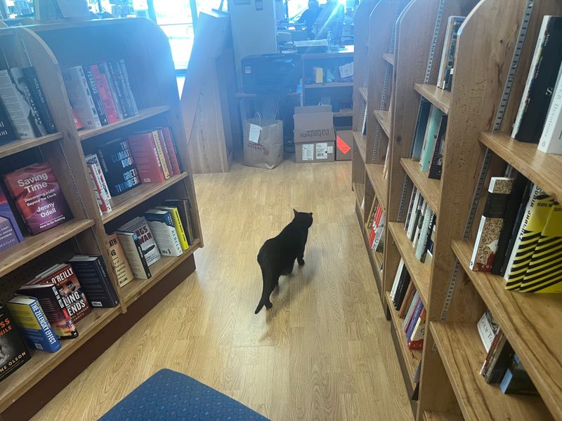 This Atlanta Georgia Book Shop Is Every Reader's Promised Land That You'll Love To Explore - Decor Hint The Vintage Book Smell That Greets You