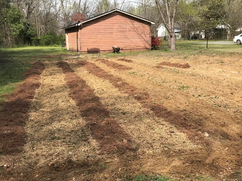 Supporting Local While Taking Home Quality